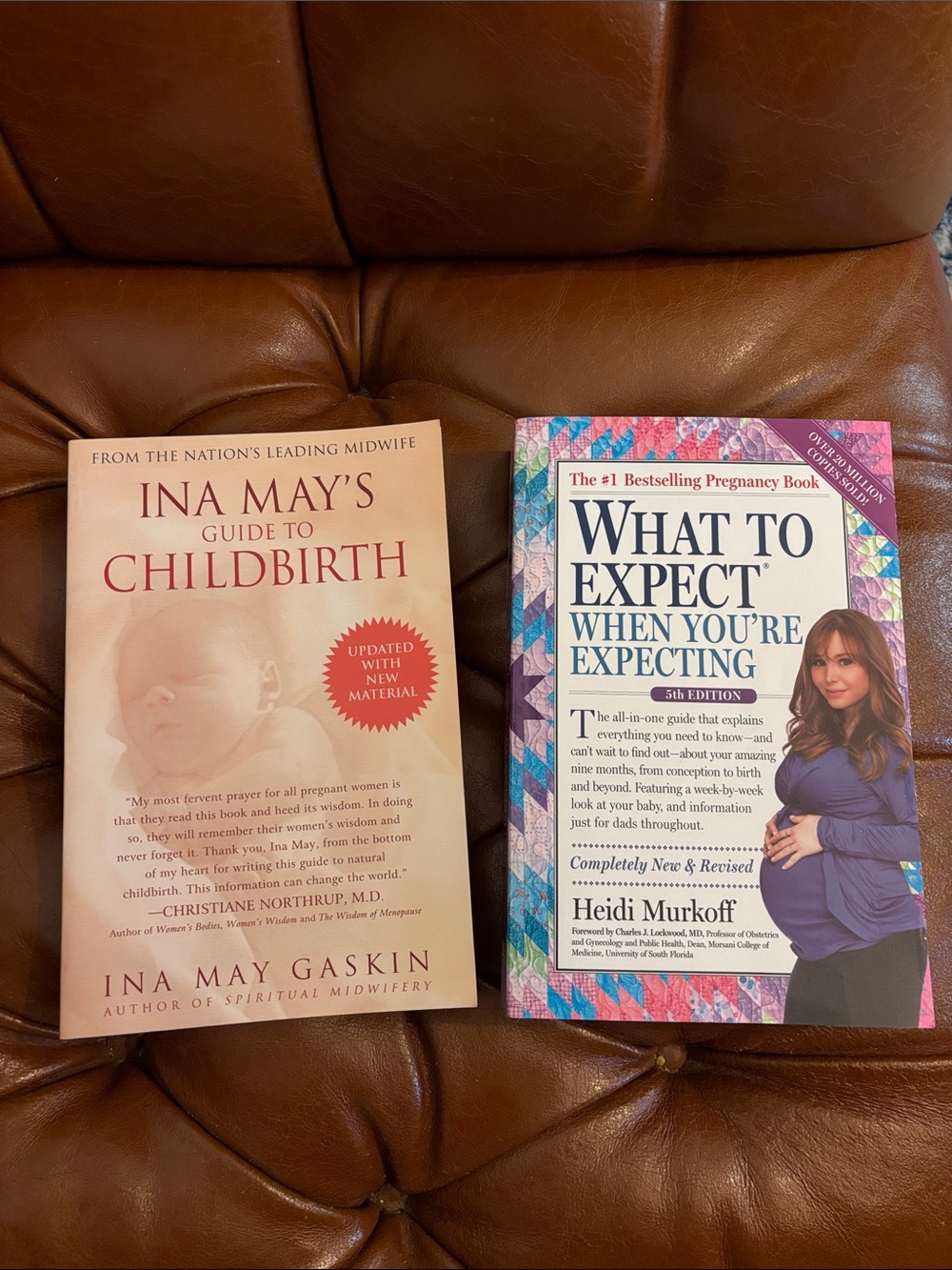 2 Pregnancy Birth Books